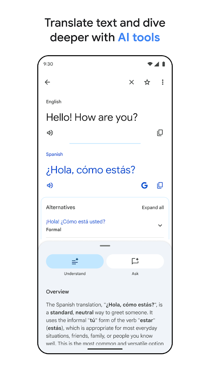 Google Translate screenshot